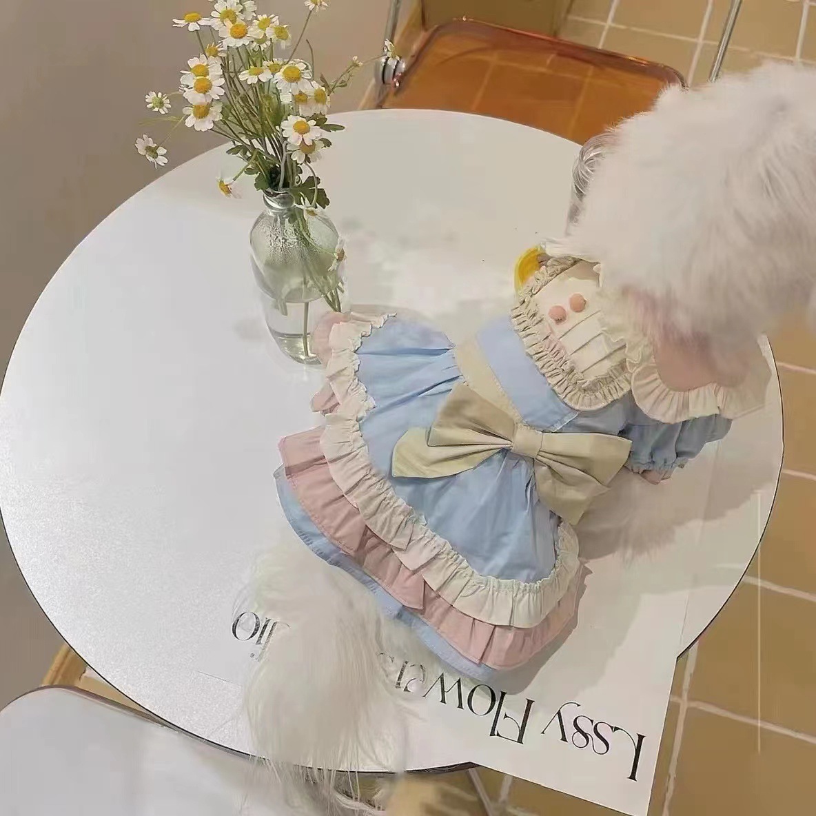 小狗春秋款春日游园会博美马尔济斯约克夏西高地宠物服饰