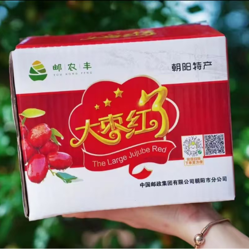【省内拍】朝阳三星大枣新鲜采摘脆甜多汁2.5KG精品包装现摘现发