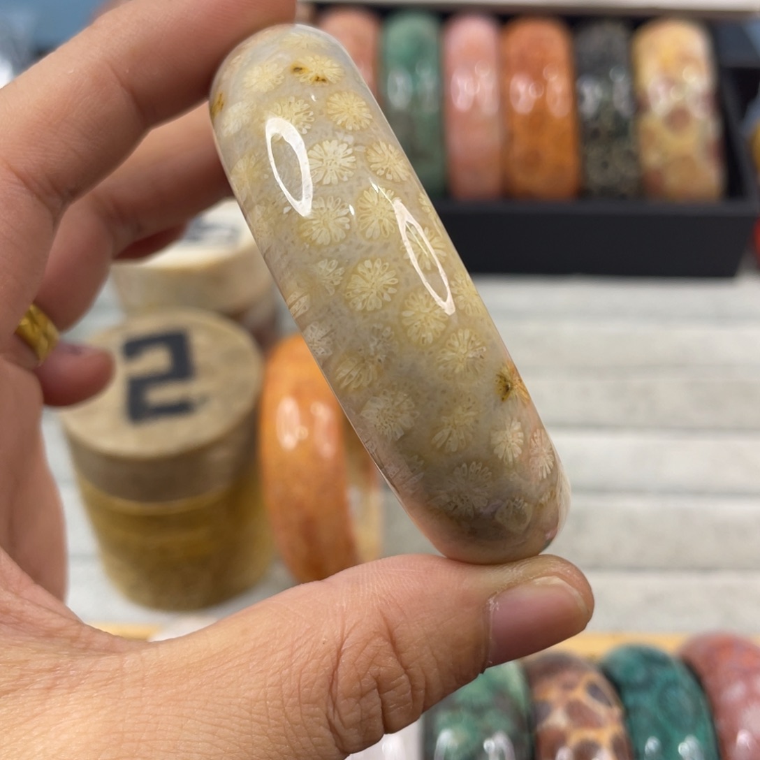 未镶嵌手镯硅化玉