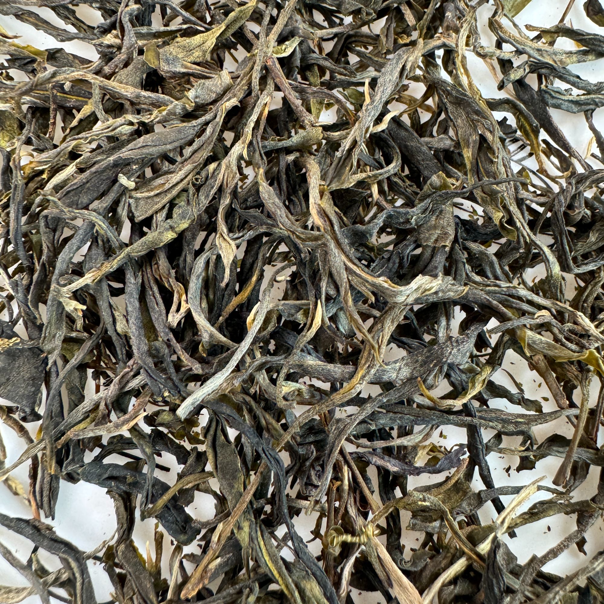 【NH-1256号】2024年昔归大树 春 普洱生茶散茶 5月27日