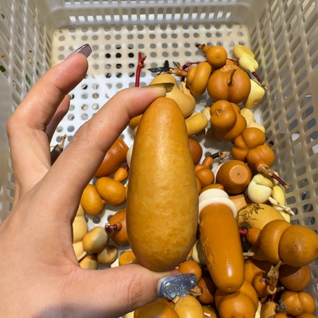 m***o哈哈哈哈哈哈哈哈哈哈