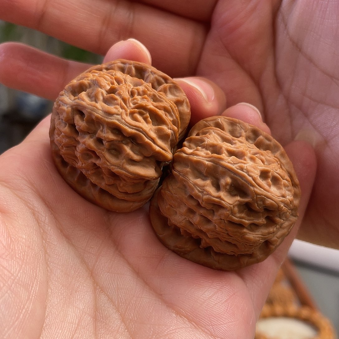 桃核把件39×41尺全品白茬山地三角白狮子头CN0469