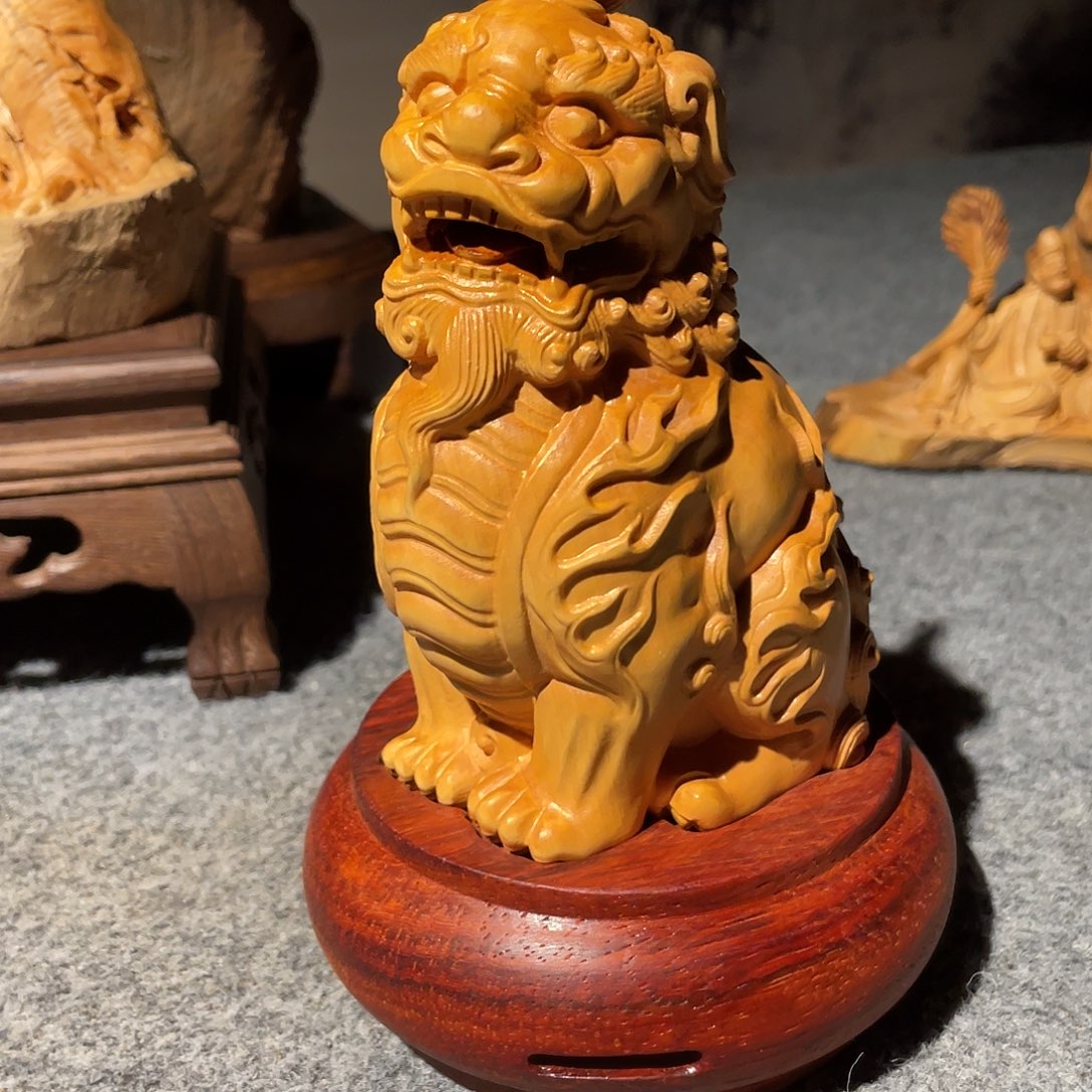 黄杨木小叶黄杨木