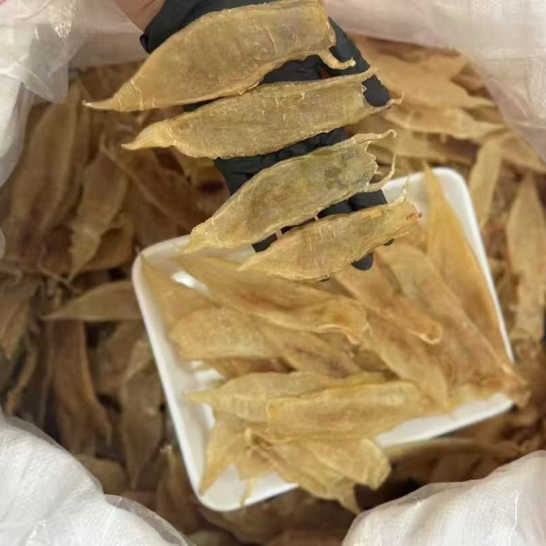 27头老金龙  水晶鳘鱼胶厚肉老胶鱼胶花胶