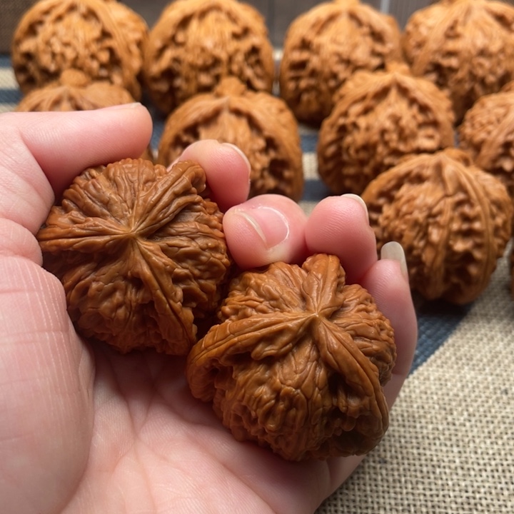 G****石楠木白狮子39核桃