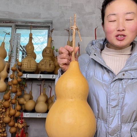 天然植物葫芦文玩