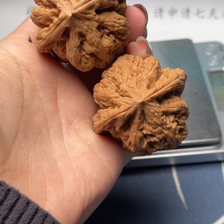 文玩核桃把件粗筋46