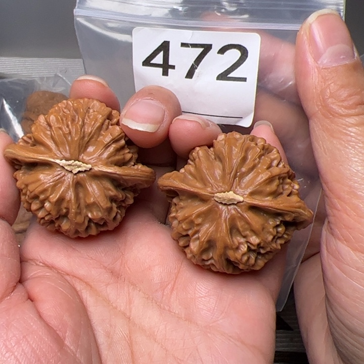 核桃全品宫灯44尺472