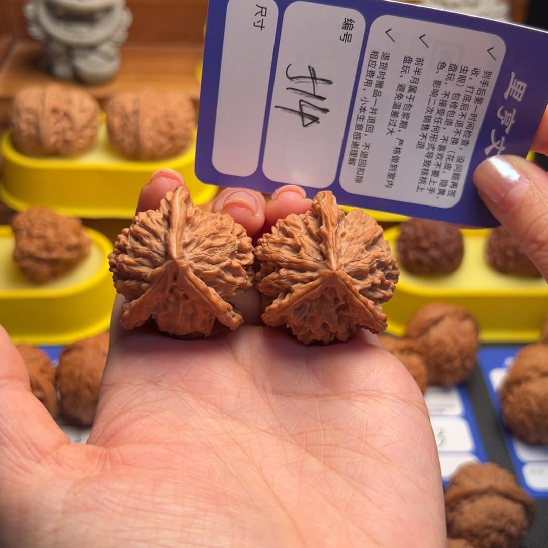 弓***g核桃514全品盘山三棱