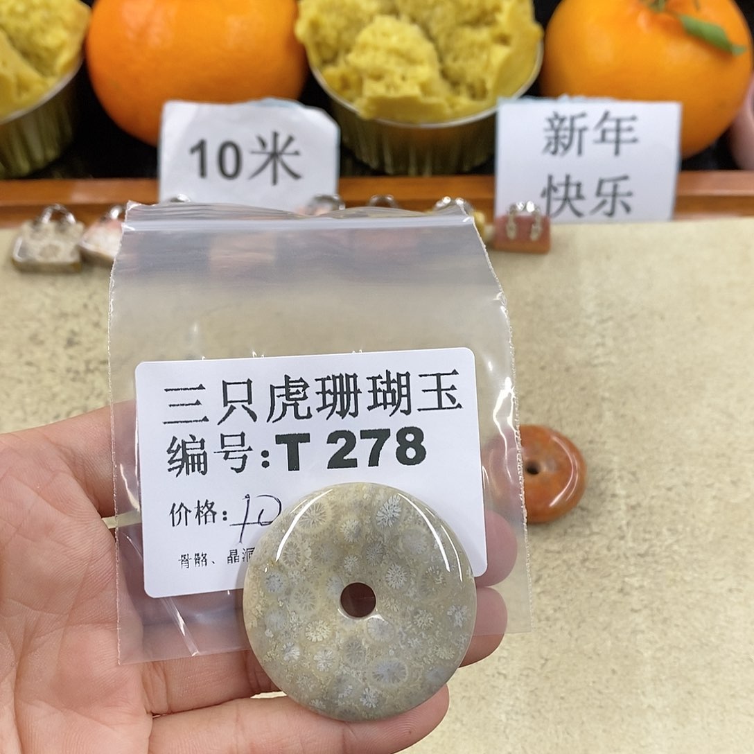 硅化珊瑚（珊瑚玉）1未镶嵌_****?