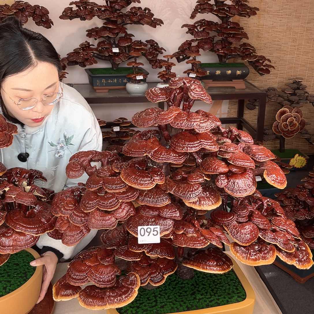 万事如意888888095