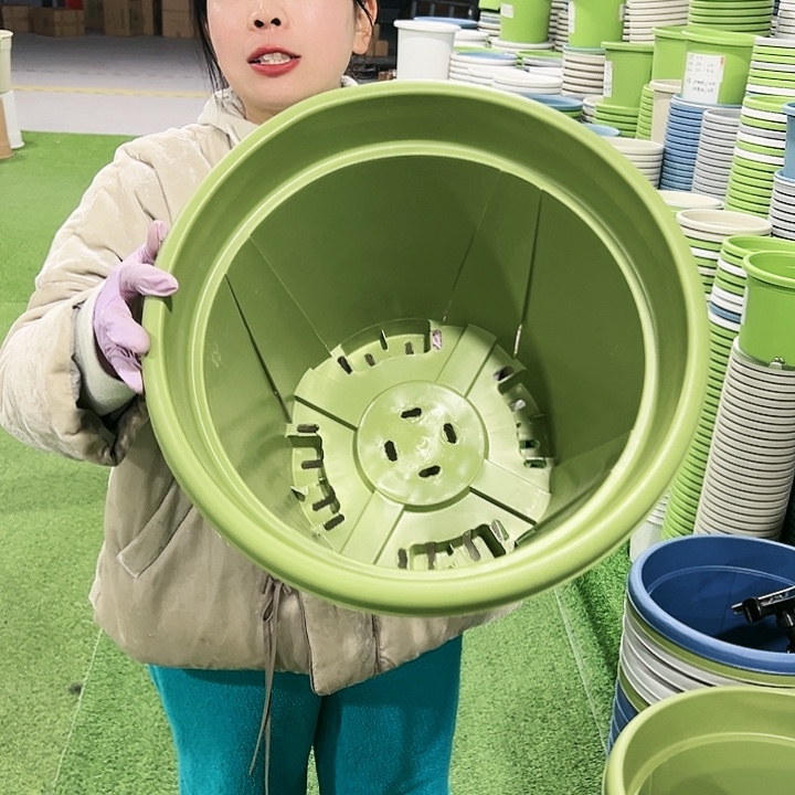 清仓青山口40高34果绿3只无托