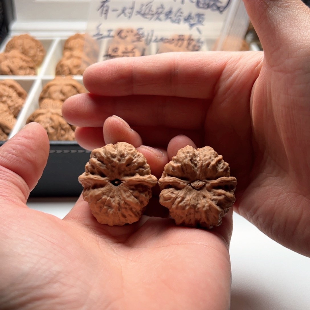 核桃把件延庆蛤蟆头