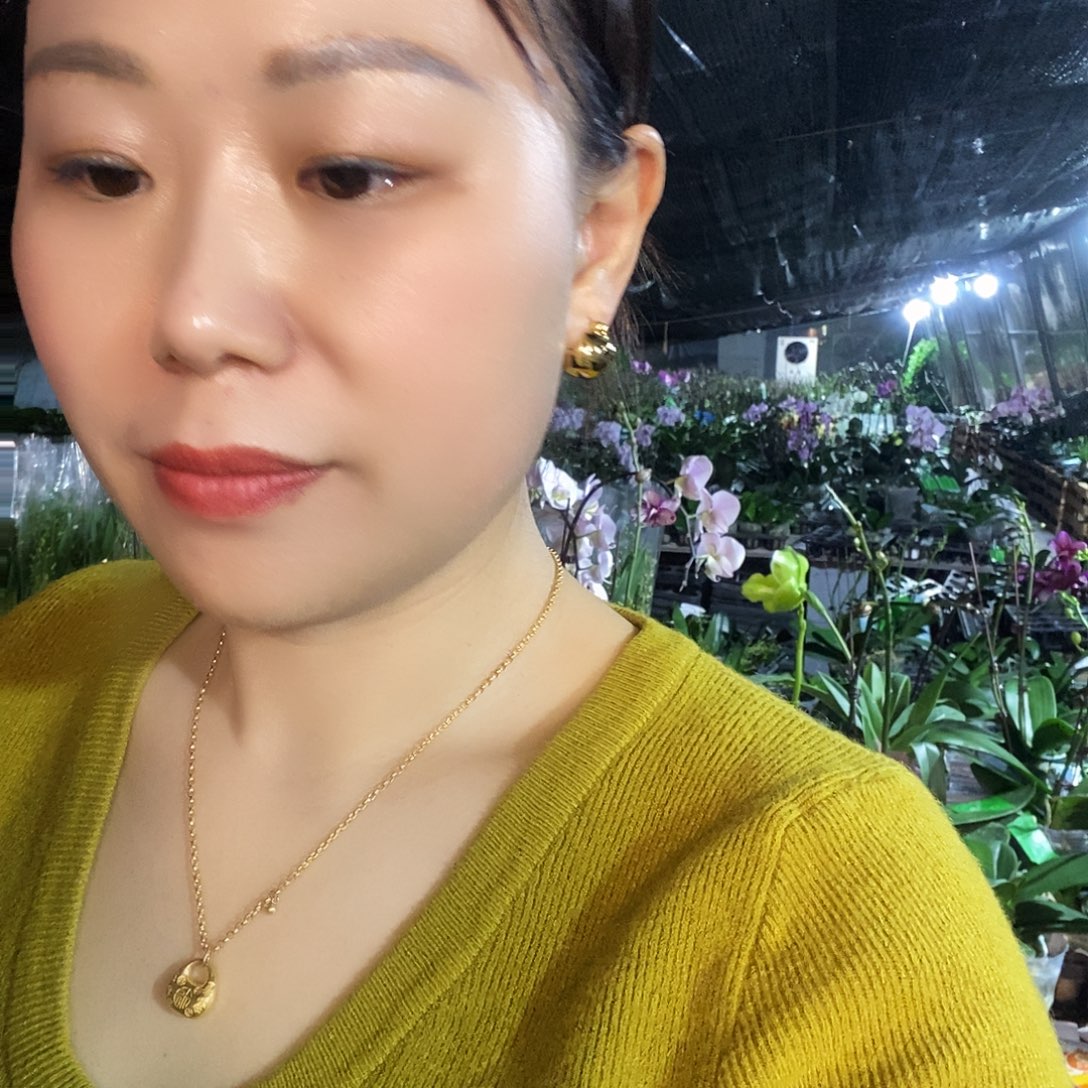 无花朵金砖蝴蝶兰