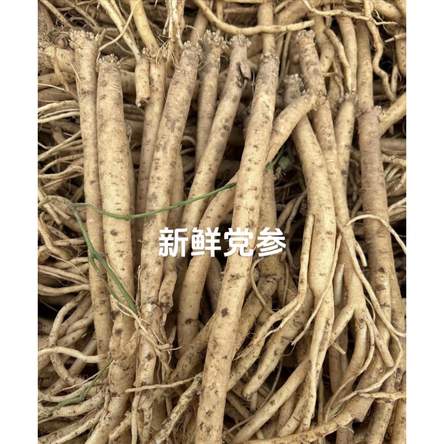 产自甘肃定西党参之乡产地直货可用于泡水煲汤