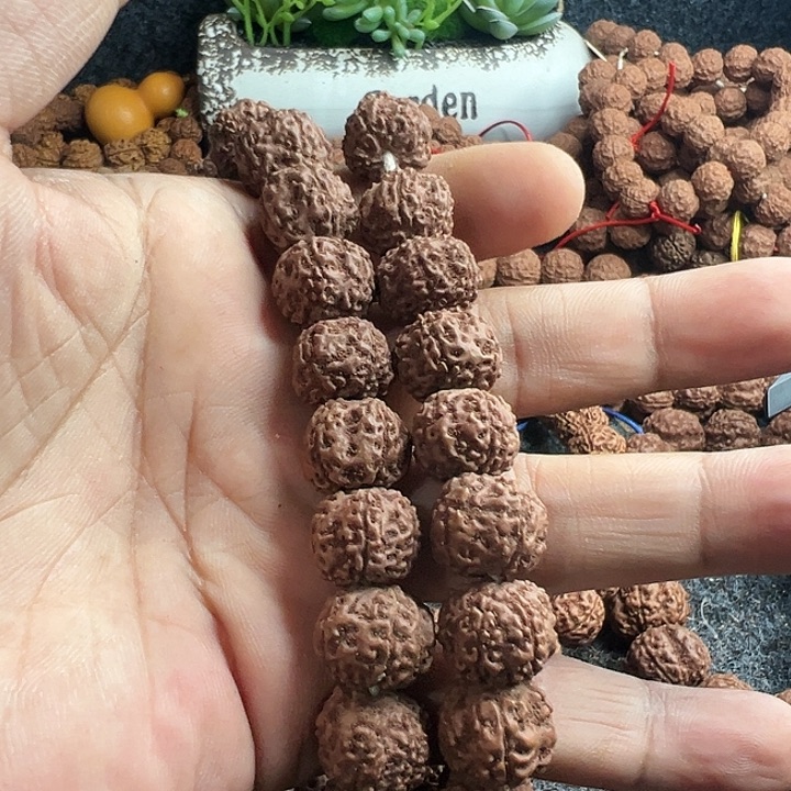 手串金刚菩提紫红皮平细手持两条