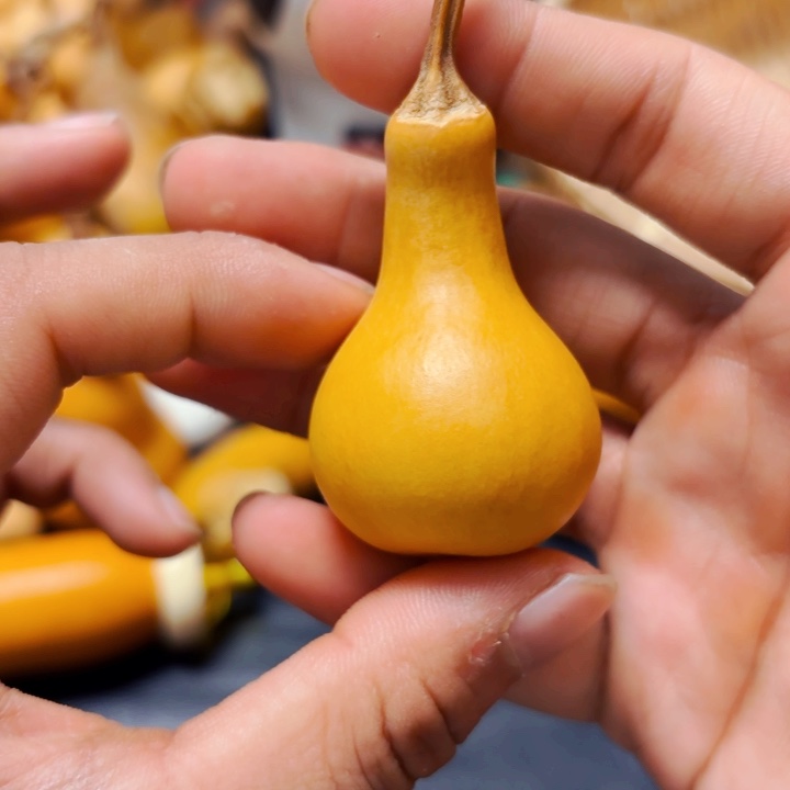 纵88888888888888888888