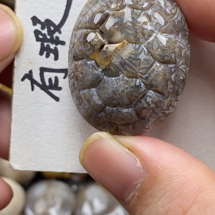 硅化珊瑚（珊瑚玉）未镶嵌颈饰
