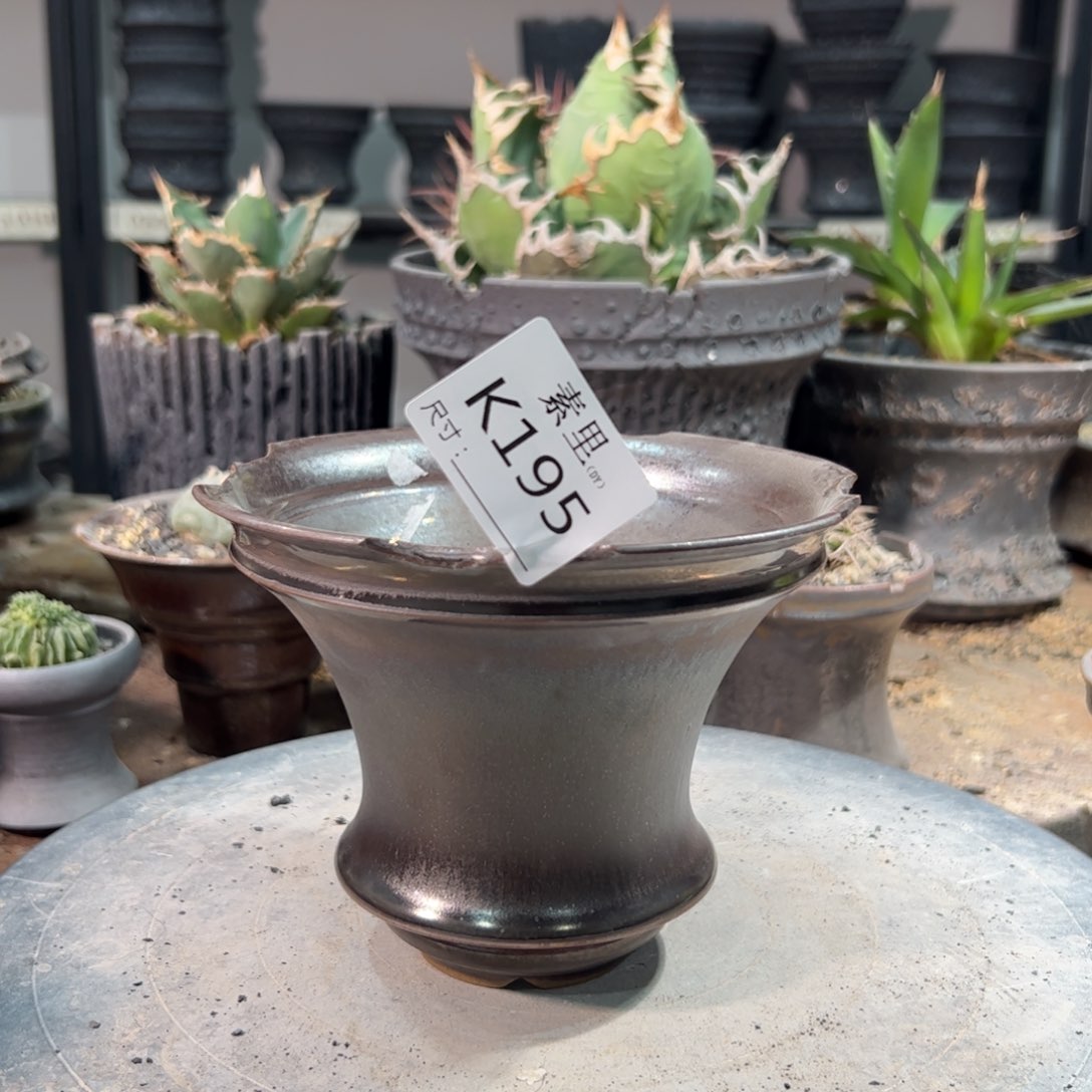 景德镇素里手工内口14.5高11.5