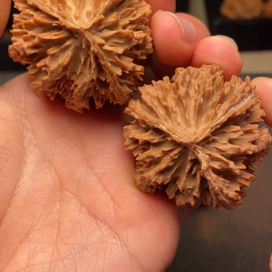 文玩核桃把件秦岭山脉核桃