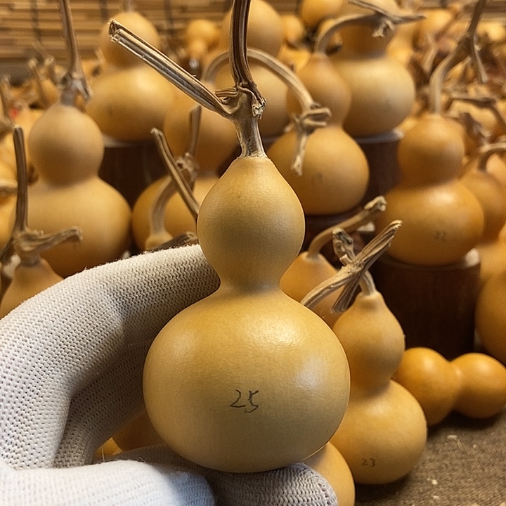 文玩葫芦 完美主义者 慎拍25