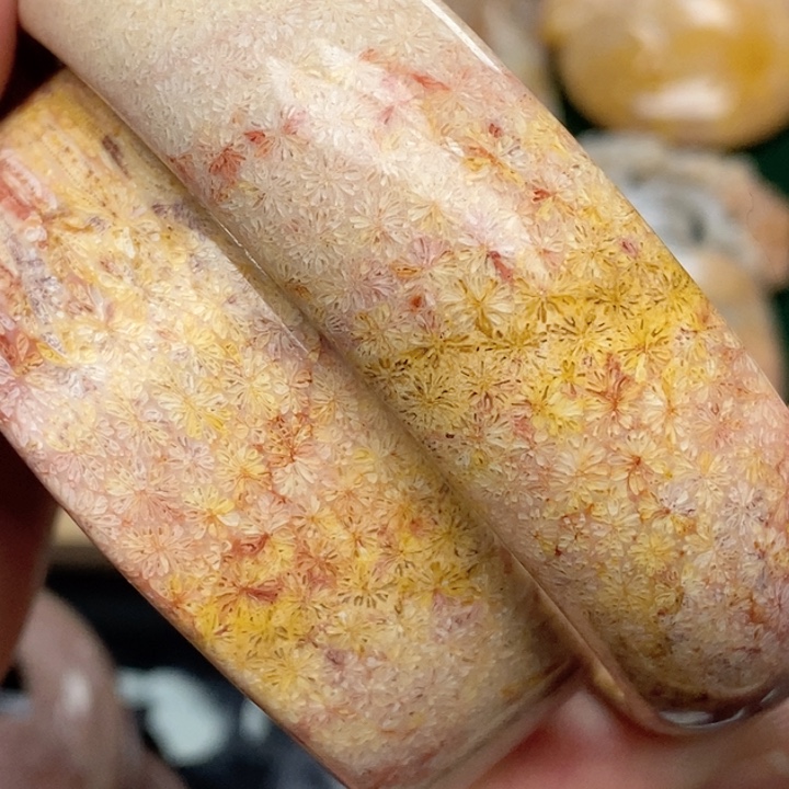 硅化珊瑚（珊瑚玉）手镯未镶嵌57.5