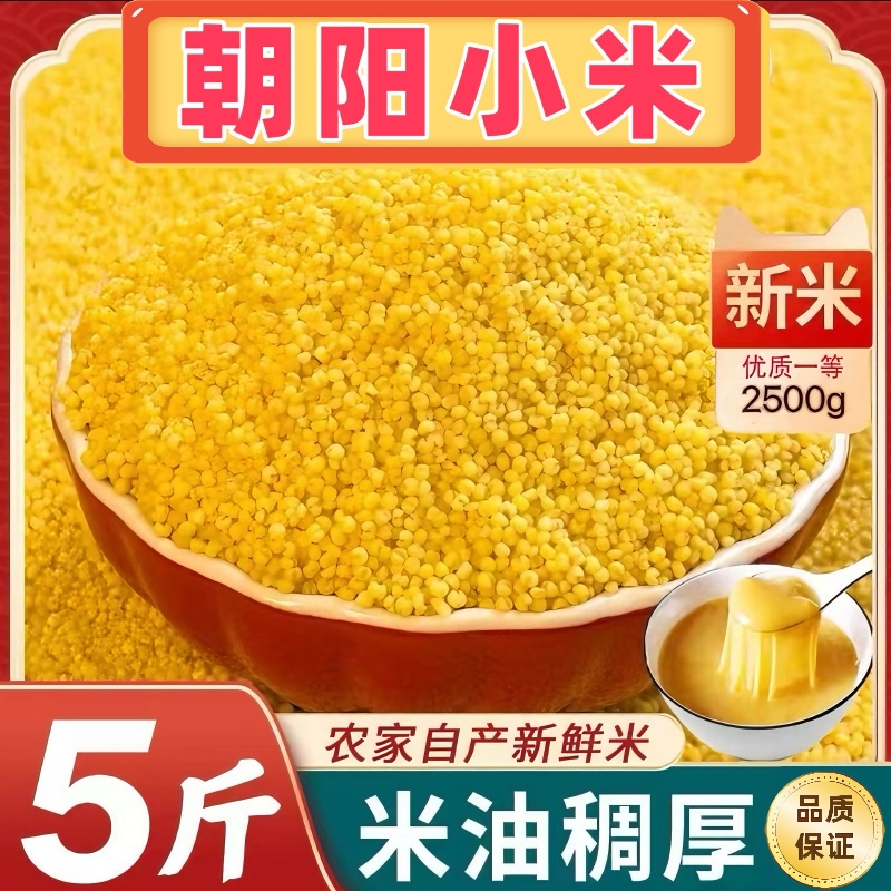 朝阳小米五斤原生态当季新米熬粥香米油厚原产地直发