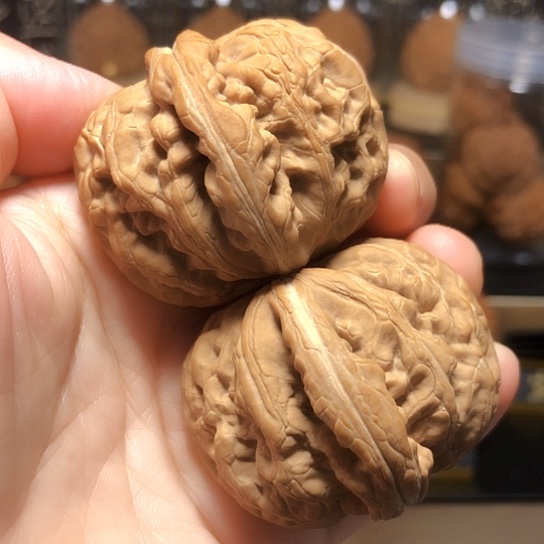 治愈系：红锦鲤货头