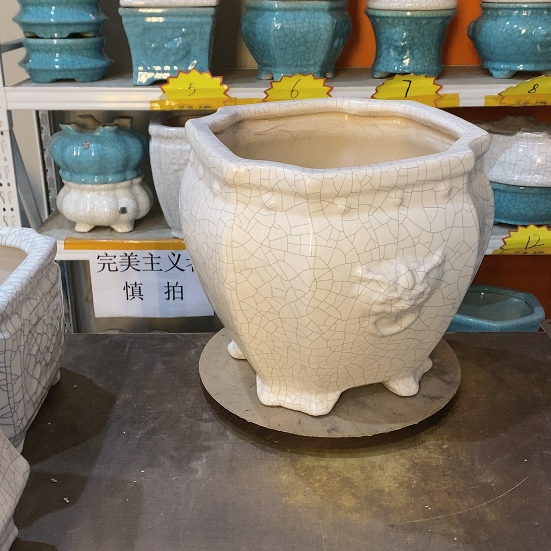 ?**?花盆里的小猫咪
