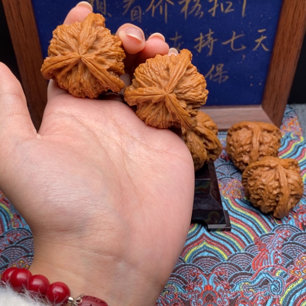 【闪购商品】百****品白狮