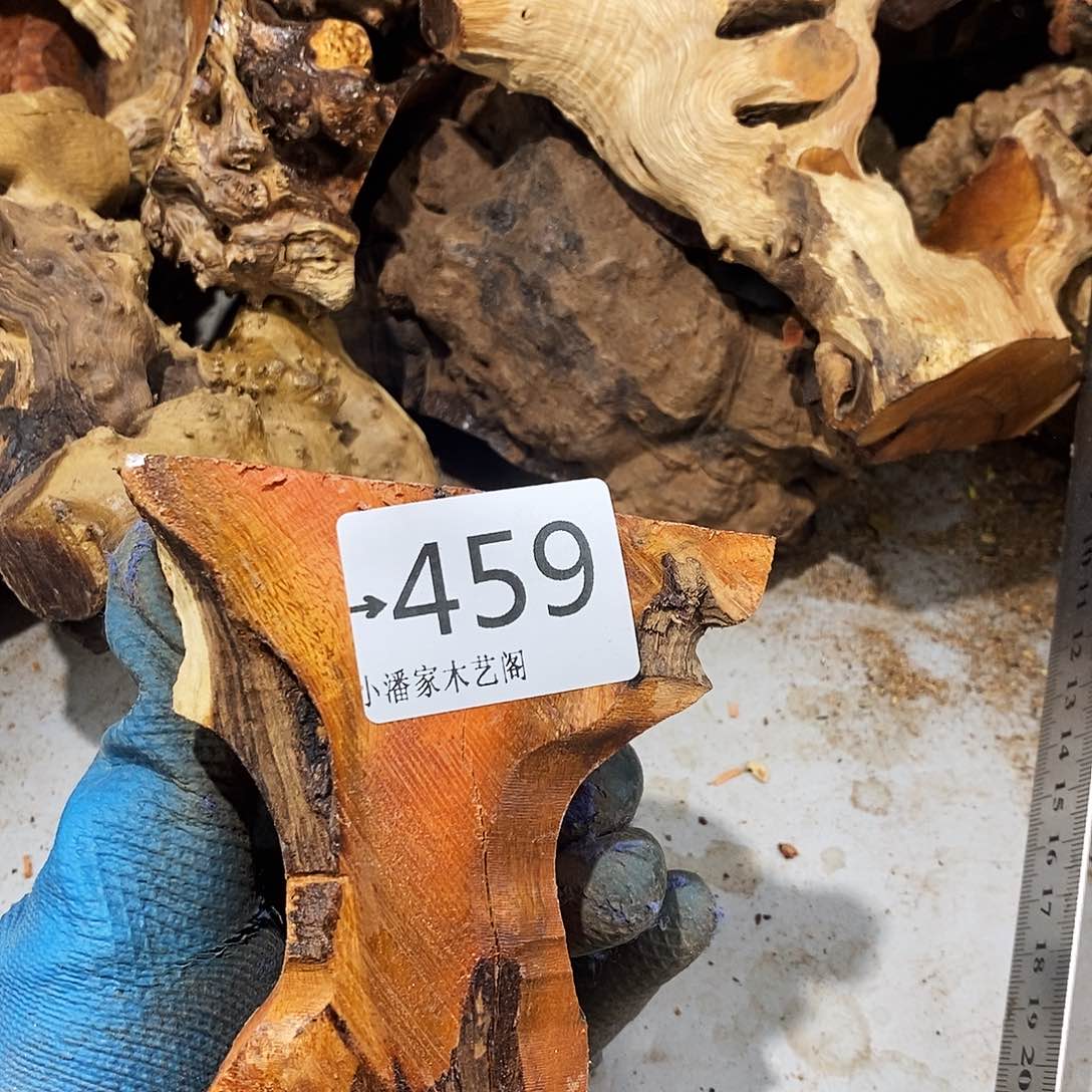 香榧木沃*火琉璃……火琉璃