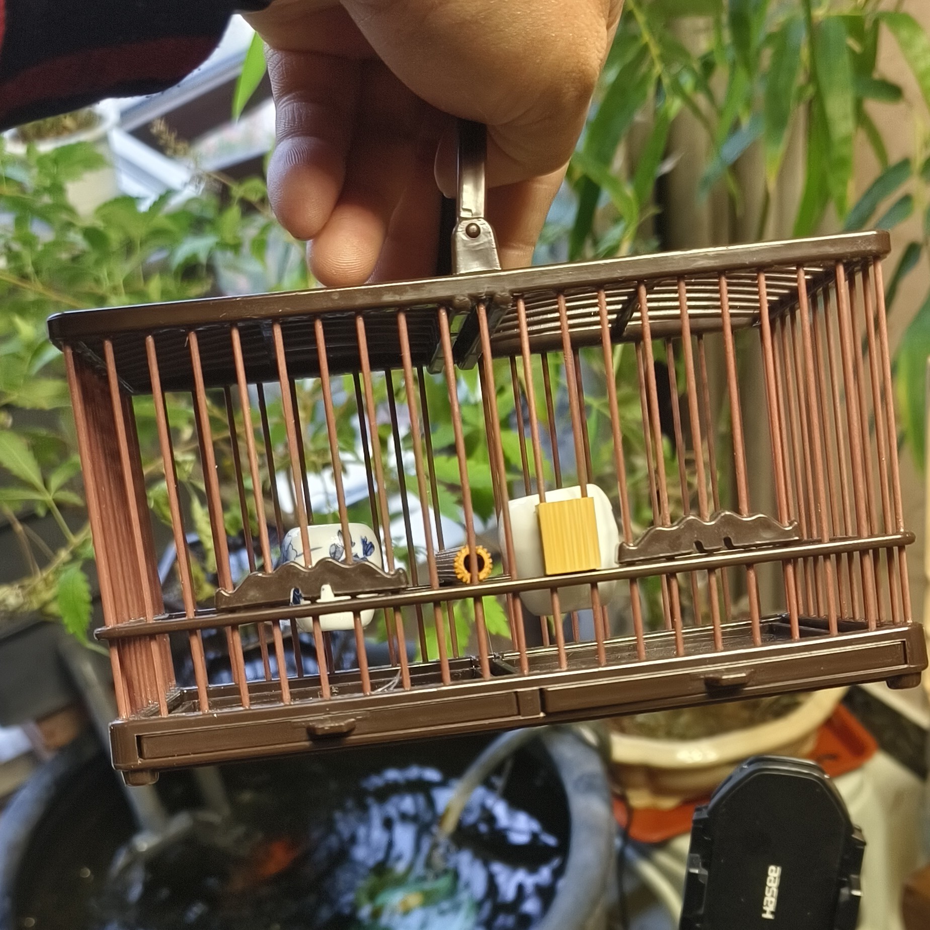 巴掌笼宽9高9长16.5ABS材质适合养柳莺小熊猫小体鸟压绣眼可以柳