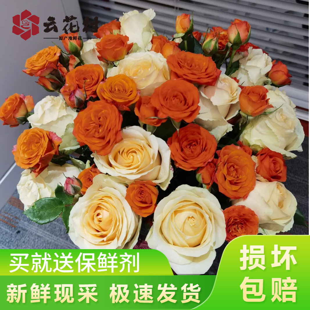 【七夕超值鲜花套餐】香槟玫瑰橙色芭比云南直发【全店2件顺丰京东】