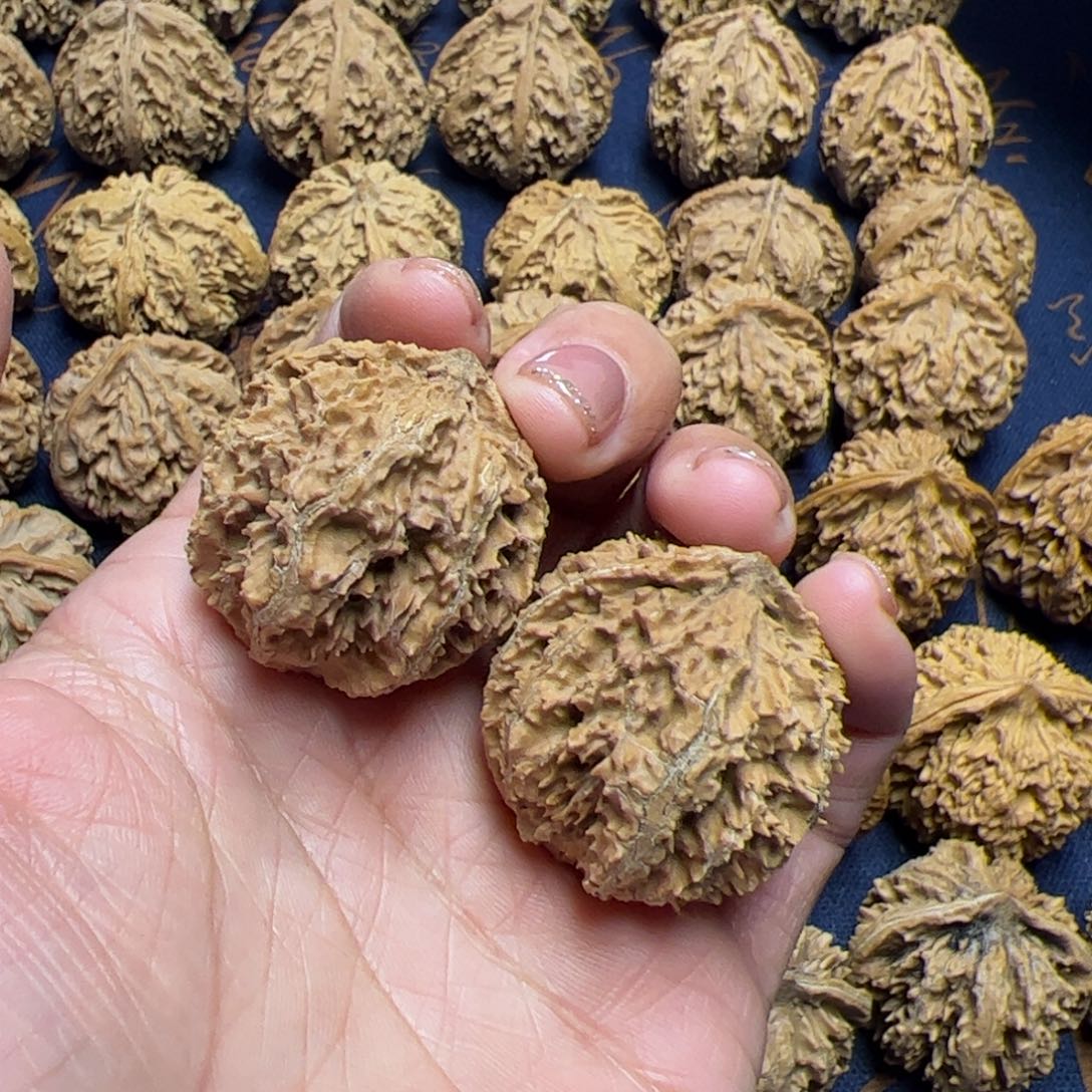 文玩核桃把件秦岭野生植物核桃