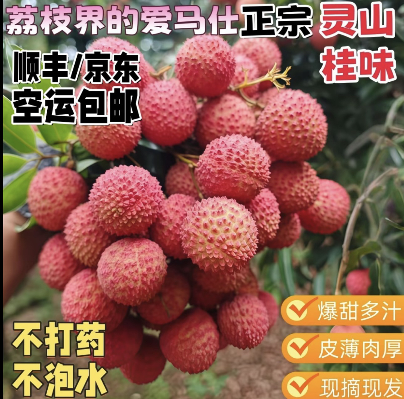 正宗灵山桂味荔枝现摘现发香甜多汁顺丰冷链包邮坏果包赔孕妇小孩