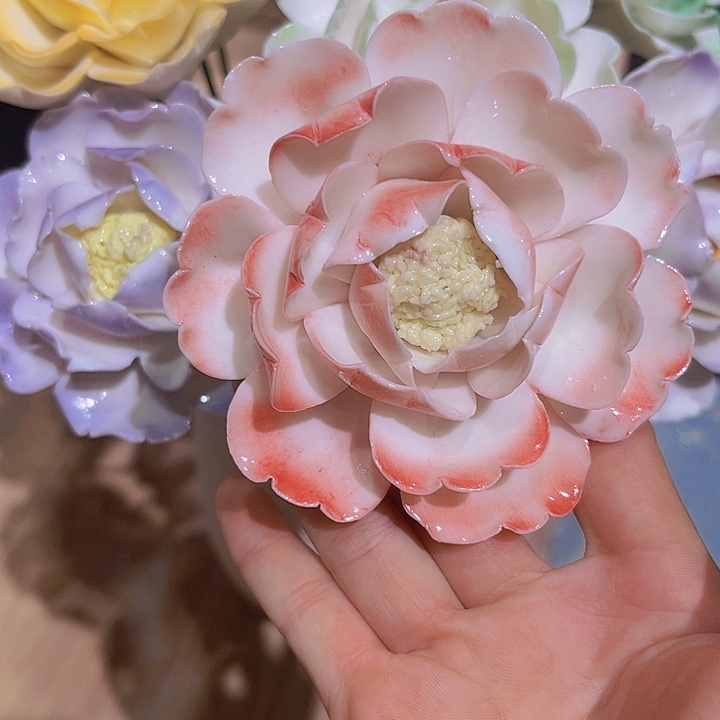 冰透荷花荷花六件套