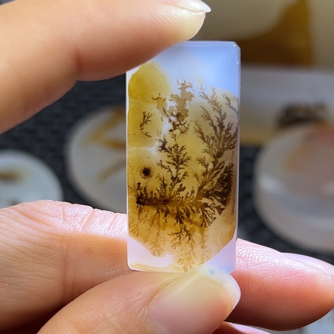 水***林玛瑙/玉髓未镶嵌珠宝半成品