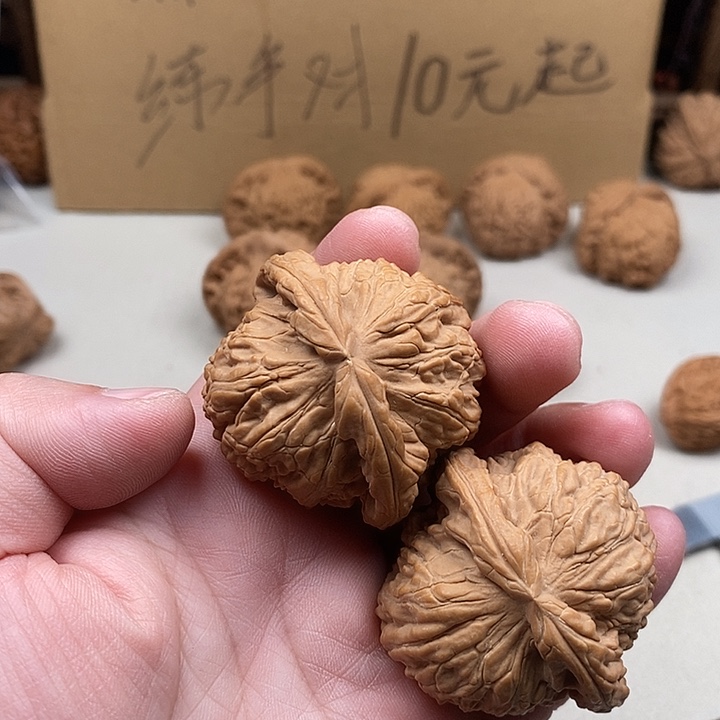 乙***吊坠龙脊菩提211.211.211