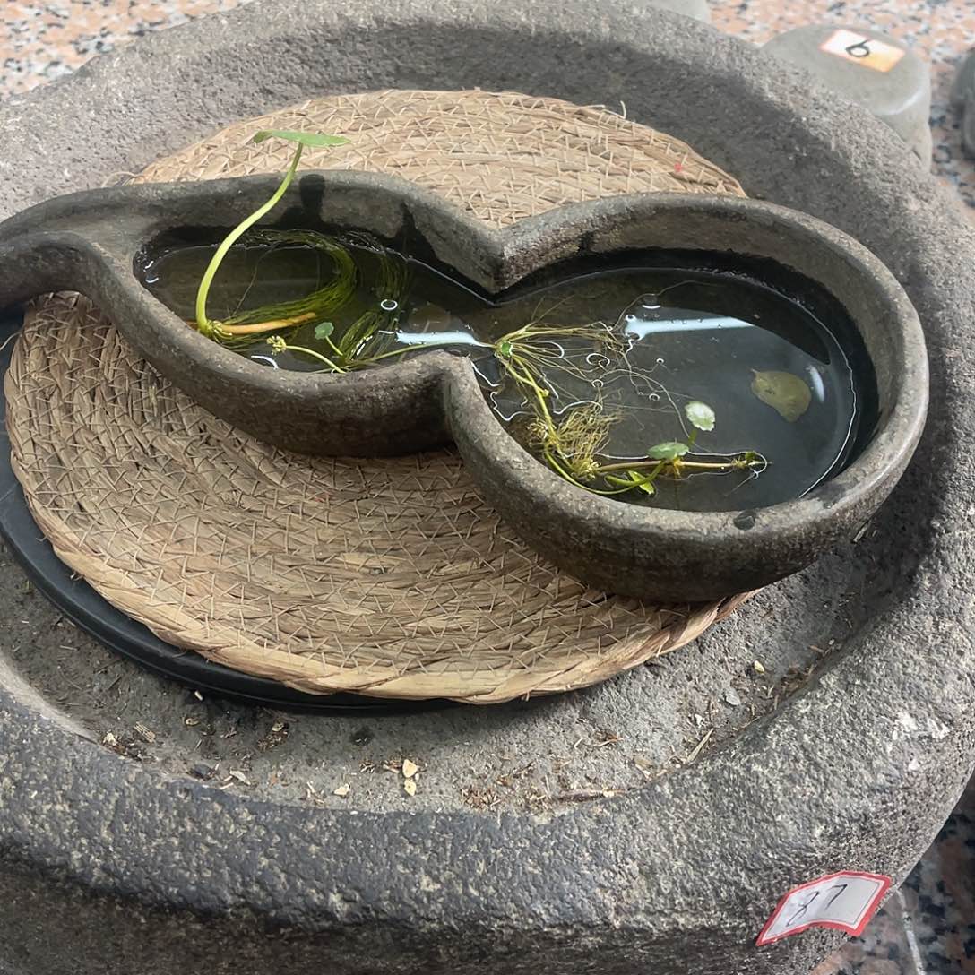 田***光老挝石青石葫芦水仙盆很漂亮