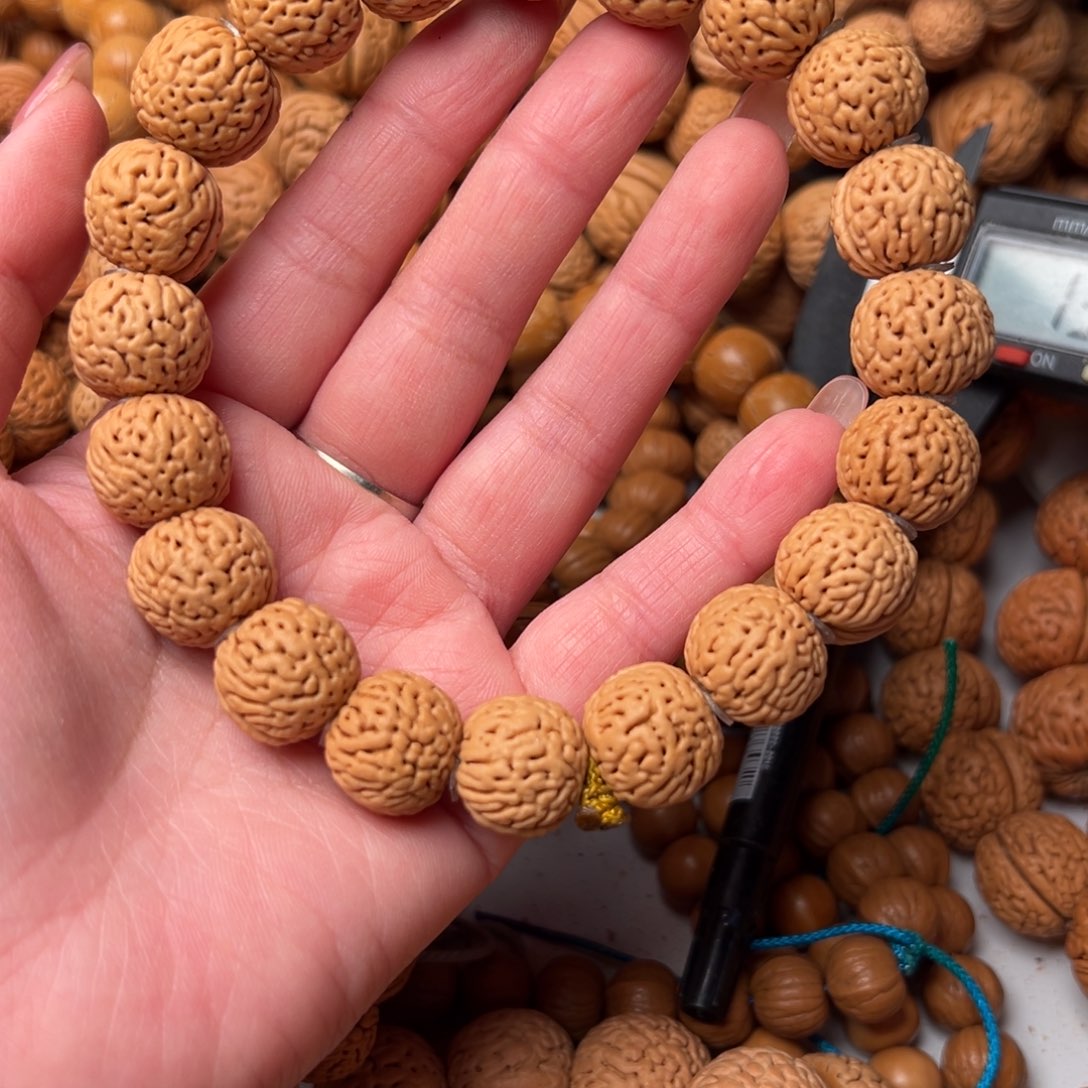 15尺寸金刚纹桃核