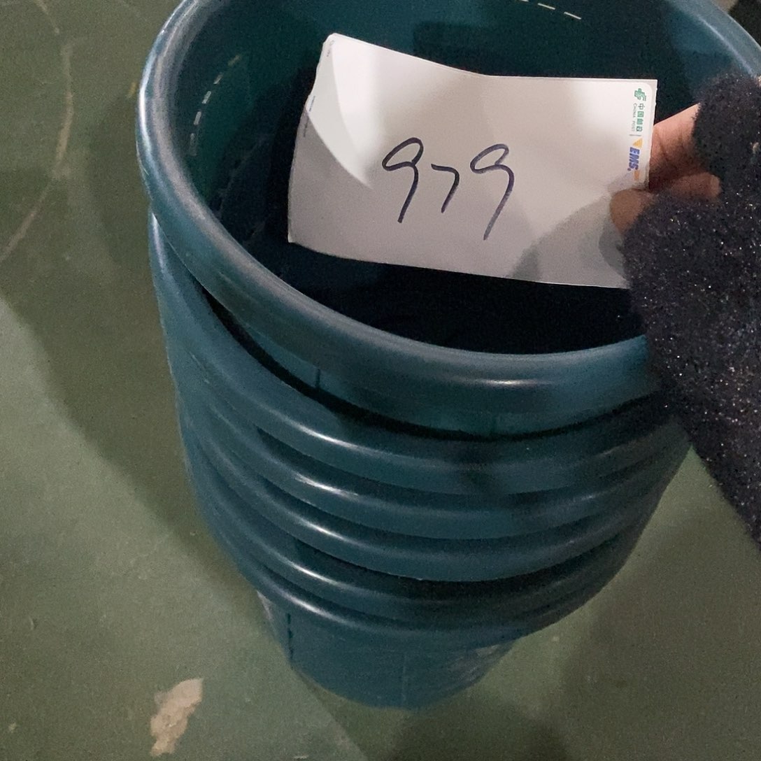 树脂编号979微瑕