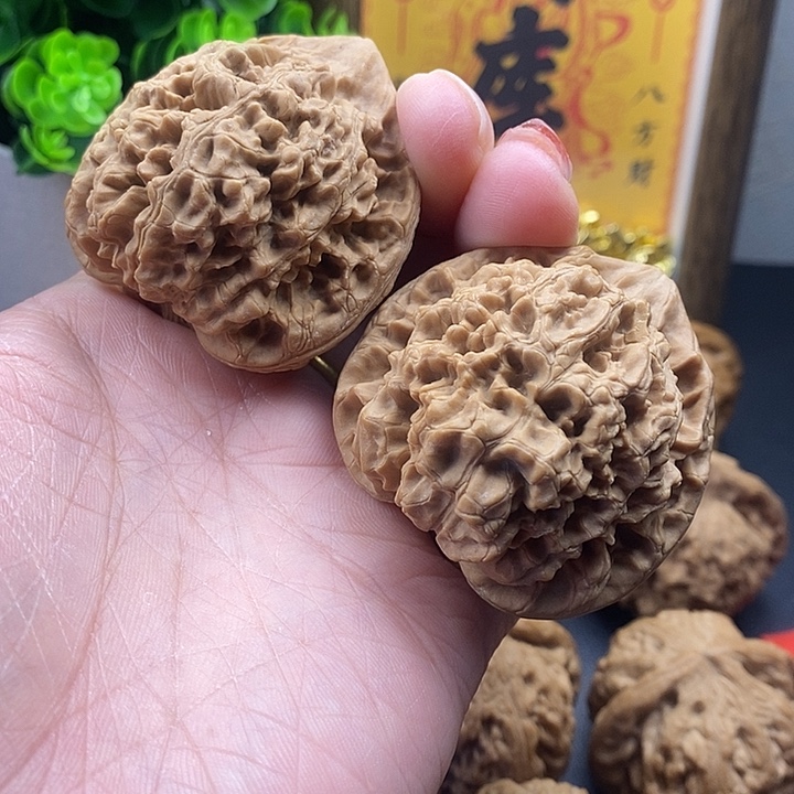 龙脊菩提吊坠官帽48