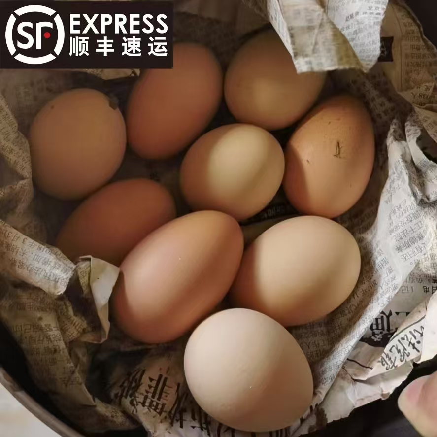 【传龙推荐】永嘉楠溪江 农家散养土鸡蛋正宗草虫五谷鸡蛋 损坏包赔