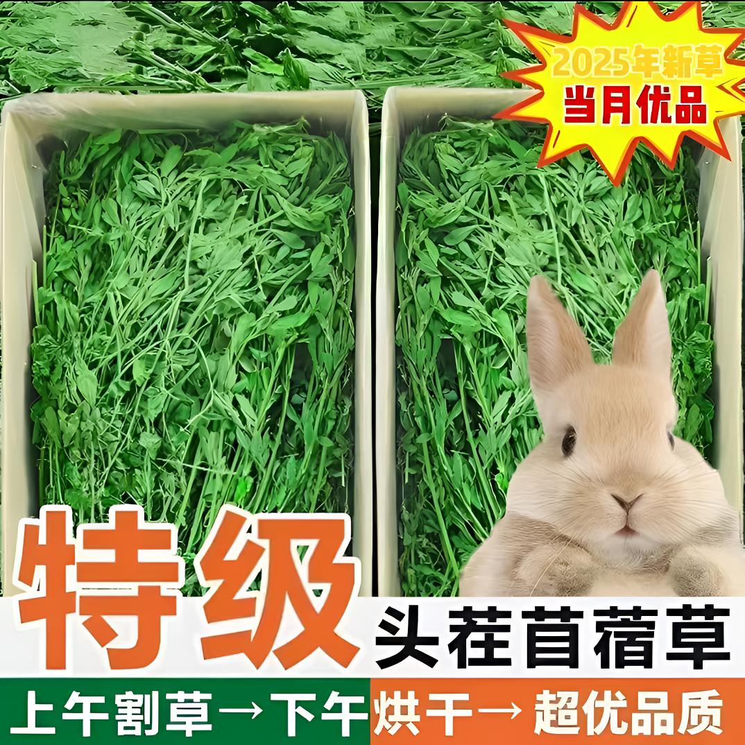 25年头茬苜蓿草烘干紫花苜蓿草兔子草料龙猫牧草幼兔豚鼠饲料干草