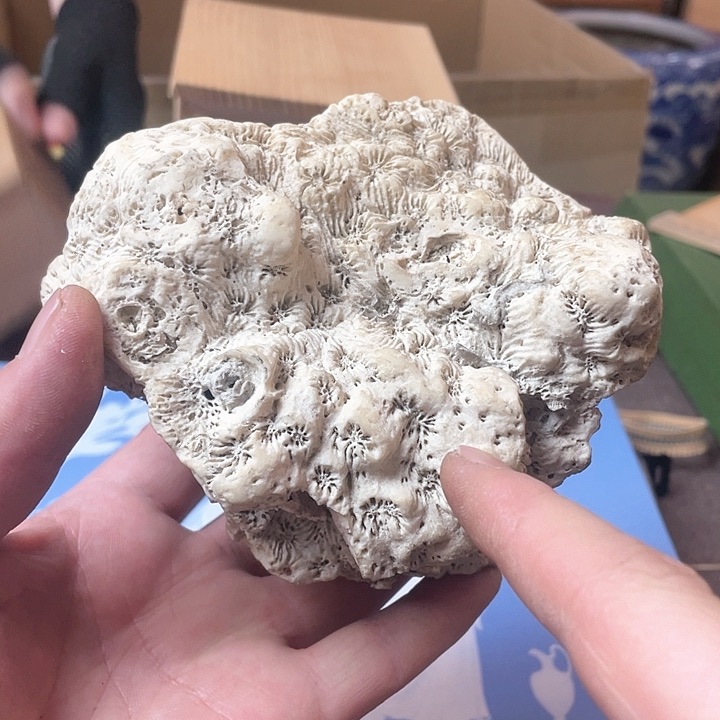 瓷片哈哈哈哈哈哈哈