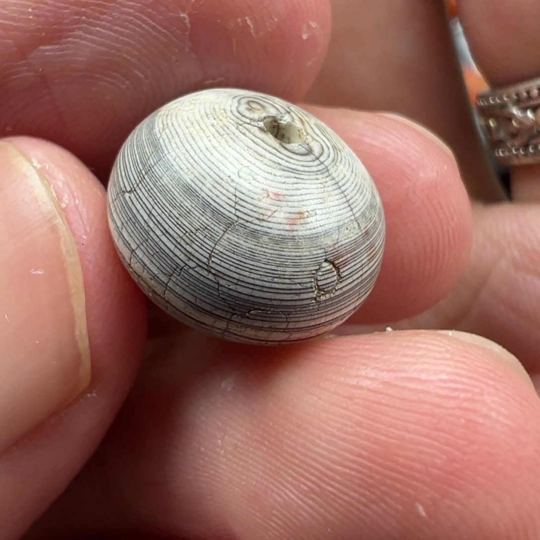 泥塑t29 13.2*10...