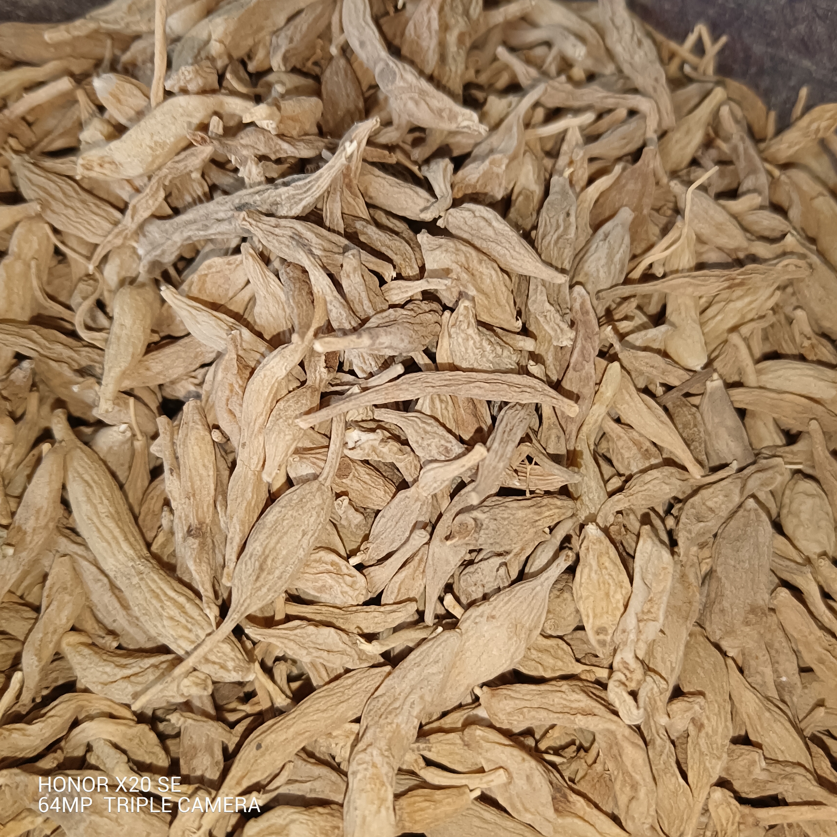 甘肃非种植麦冬250g～500g包邮
