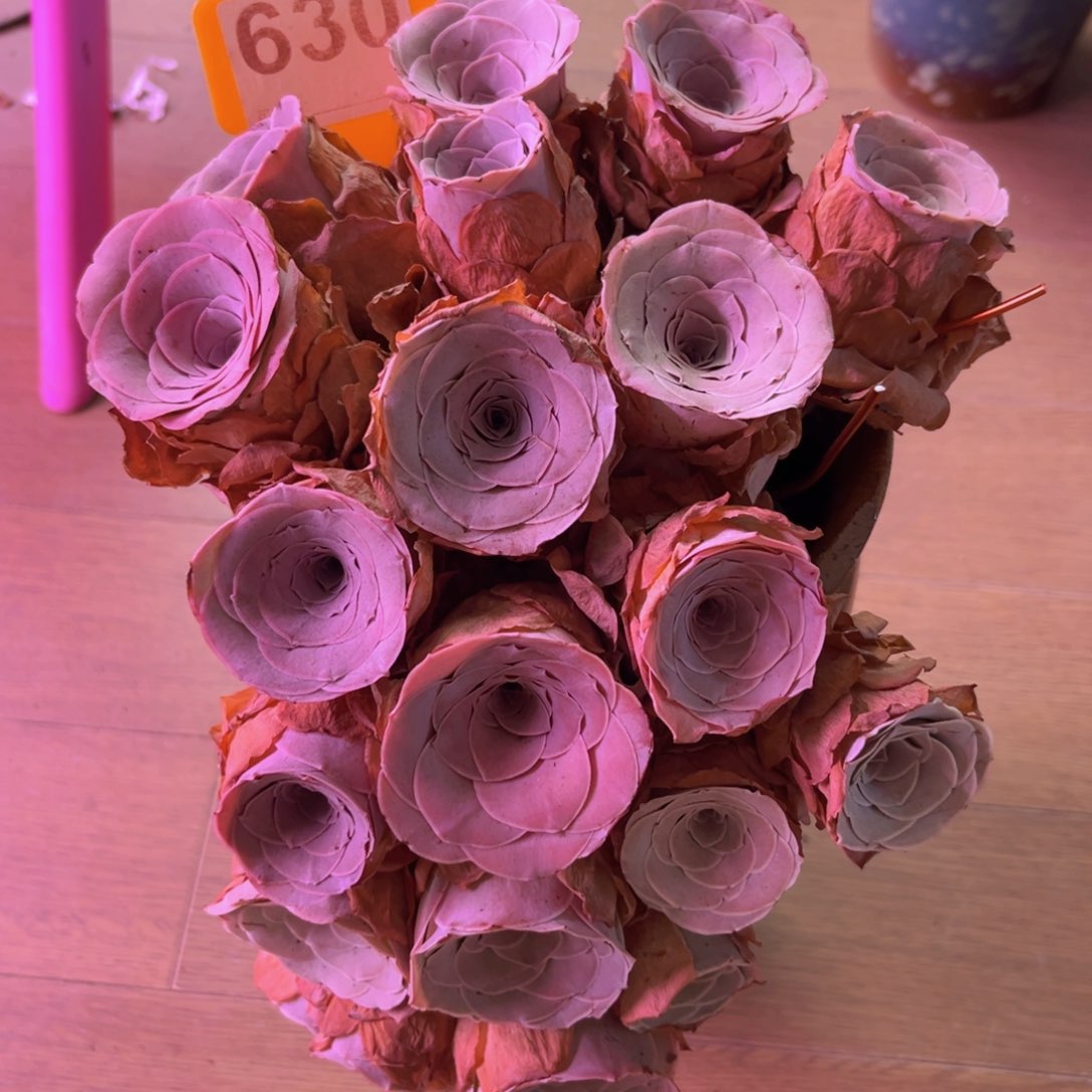 一***阳山地玫瑰悬崖桩630