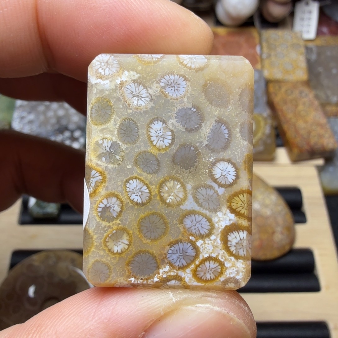 硅化玉未镶嵌纯天然色有机玉石保真色