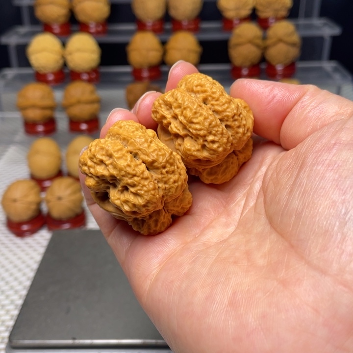 文玩核桃把件13霸王龙脊